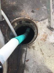 lateral-lining-4-e1524180144116